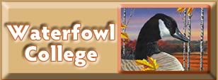 waterfowl college